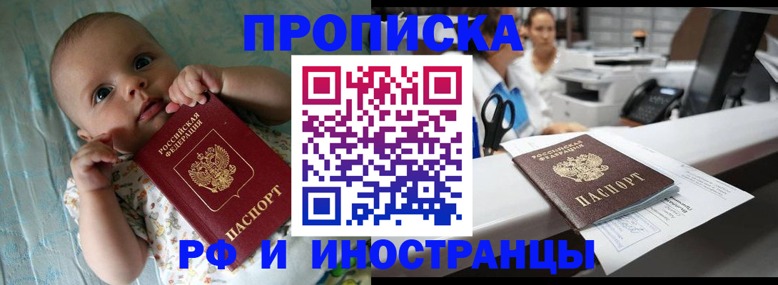 прописка поиск в Курчалом